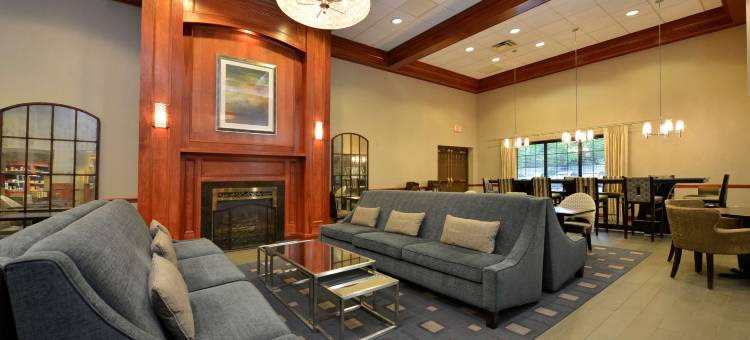 东奥罗拉欢朋酒店(Hampton Inn East Aurora)图片