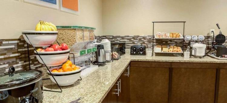 舒适酒店汉堡区 / I-75列克星敦(Comfort Inn Lexington I-75)图片