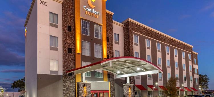 舒适套房(Comfort Suites)图片