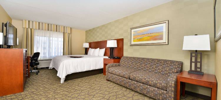 奥本希尔斯南部底特律欢朋酒店(Hampton Inn Detroit/Auburn Hills South)图片