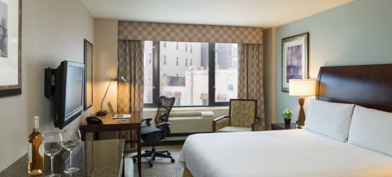 纽约三角地带希尔顿花园酒店(Hilton Garden Inn New York/Tribeca)图片