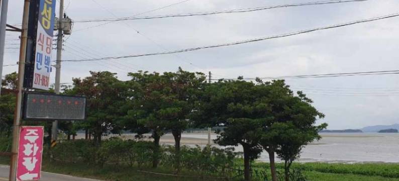 Sinan Treasure Island Pension图片