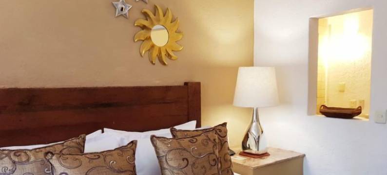 卡萨奥雷亚(Casa Aurea Hotel Boutique)图片