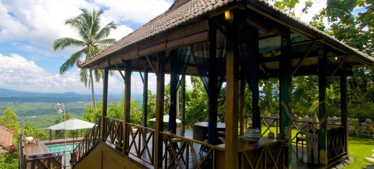 婆罗浮屠度假别墅(Villa Borobudur Resort)图片