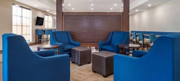 舒适套房酒店(Comfort Inn & Suites)图片