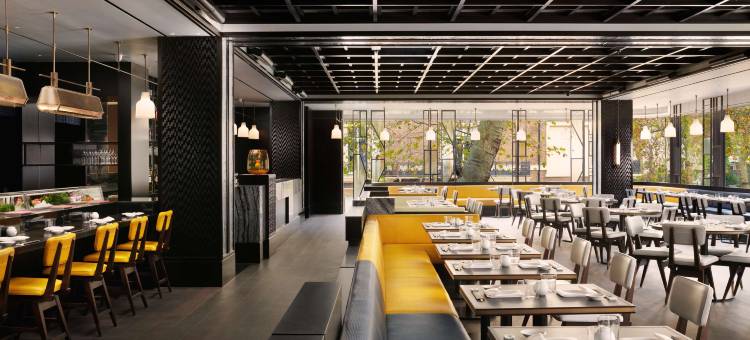 伦敦波特曼广场诺布酒店(Nobu Hotel London Portman Square)图片