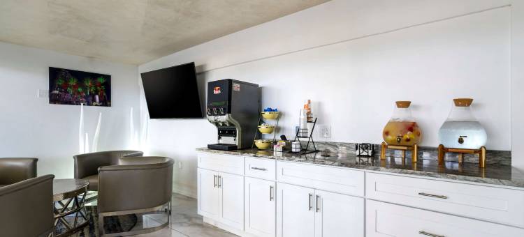 坦帕-布兰登品质酒店及会议中心(Quality Inn and Conference Center Tampa-Brandon)图片