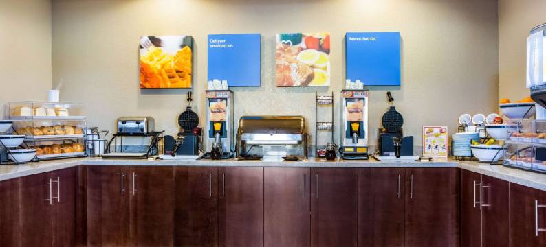 尼亚加拉瀑布大道舒适套房酒店(Comfort Inn & Suites Niagara Falls Blvd USA)图片