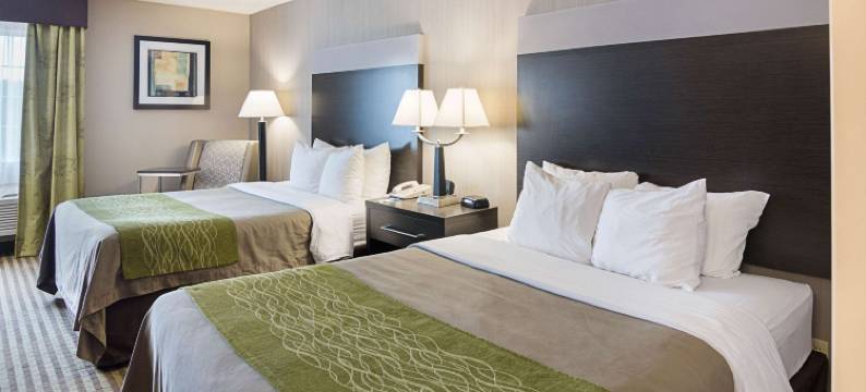 肯顿舒适酒店(Comfort Inn Camden)图片