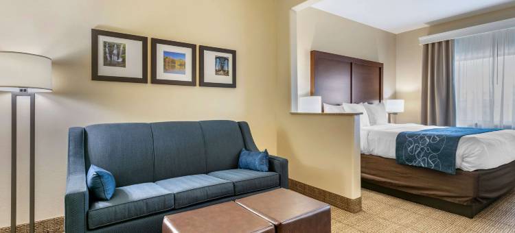 舒适套房酒店(Comfort Suites)图片