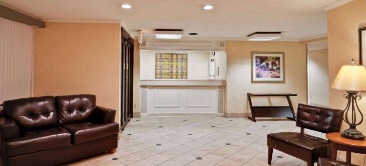 坦帕展览会场 拉昆塔温德姆套房酒店(La Quinta Inn & Suites by Wyndham Tampa Fairgrounds - Casino)图片