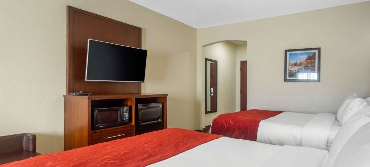 丹维尔舒适套房(Comfort Suites Danville)图片