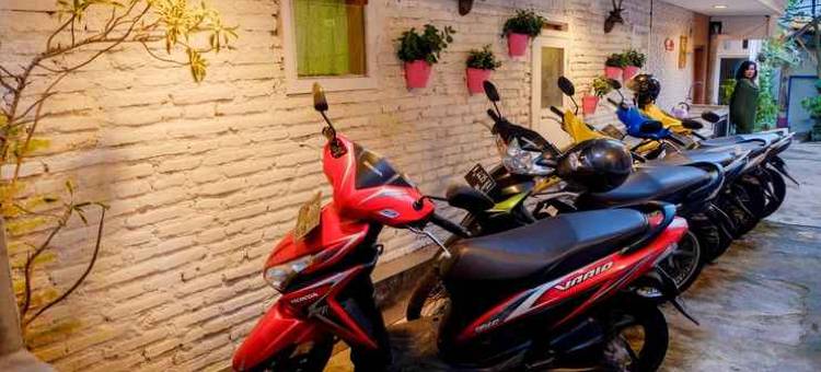 Sahabat Backpacker图片