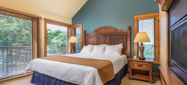 加利纳世誉酒店(WorldMark Galena)图片