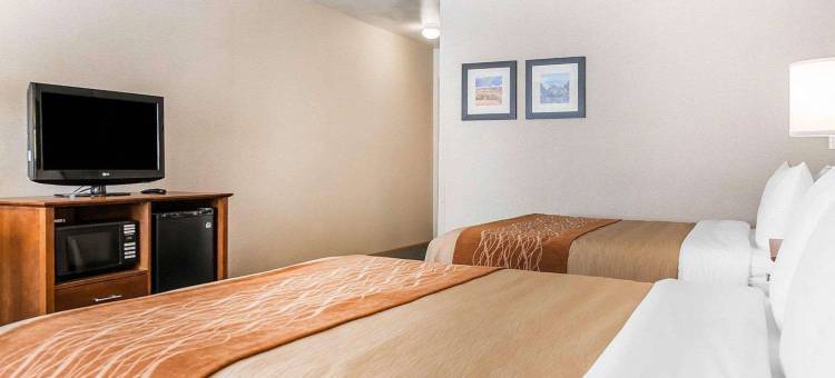 萨利达舒适酒店(Comfort Inn Salida)图片