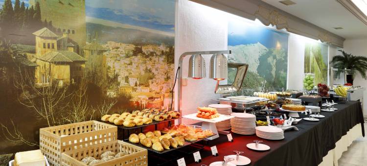 艾克塞特里安佛酒店(Exe Triunfo Granada)图片