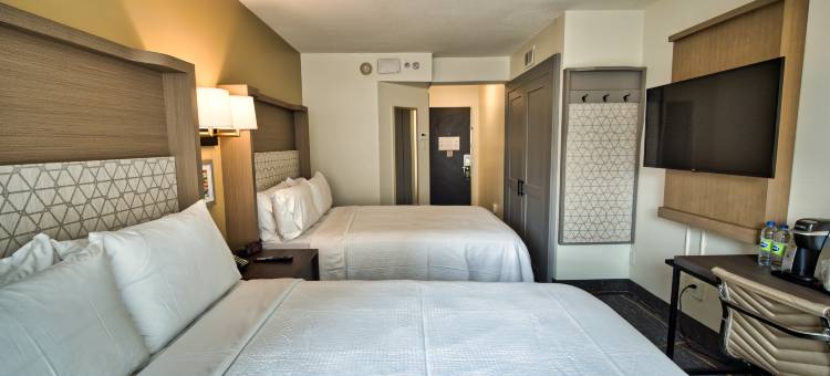 多伦多中心假日酒店(Holiday Inn Toronto Downtown Centre by IHG)图片