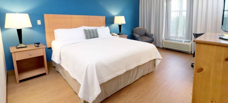 迈克艾伦温德姆花园酒店(Wyndham Garden McAllen at la Plaza Mall)图片