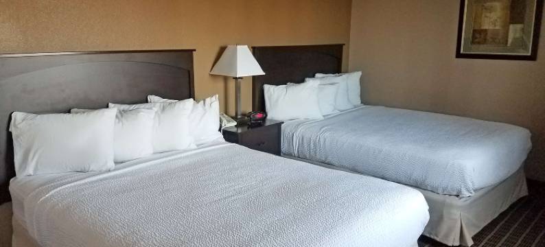俾斯麦美洲最佳价值套房酒店(Americas Best Value Inn and Suites Bismarck)图片