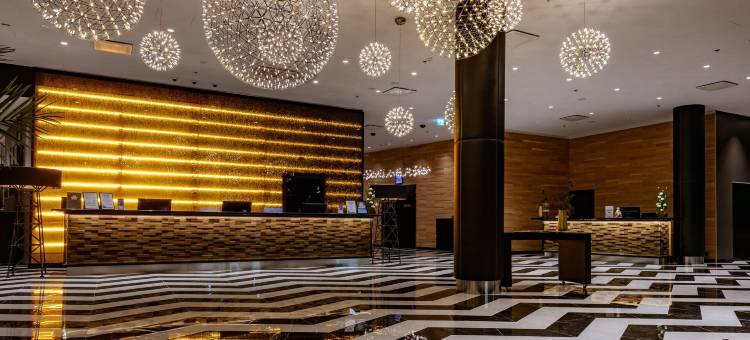 阿维安波利斯凯瑞华晟酒店(Clarion Hotel Aviapolis)图片