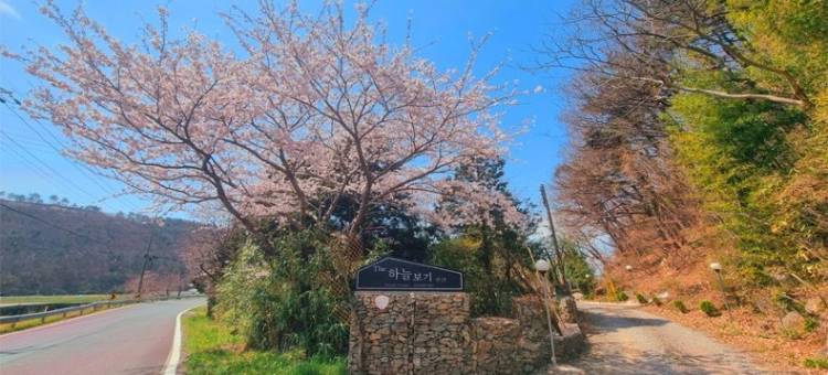 Namhae the Sky Bogi Pension图片