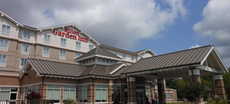 切萨皮克萨福克希尔顿花园酒店(Hilton Garden Inn Chesapeake/Suffolk)图片