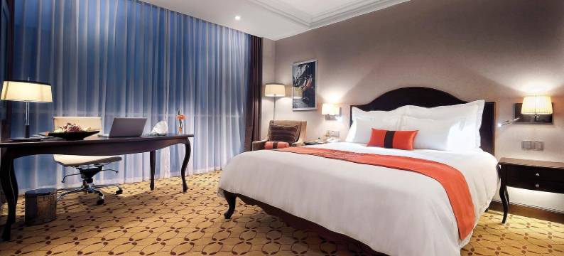 思廷西贡格兰德酒店(Eastin Grand Hotel Saigon)图片