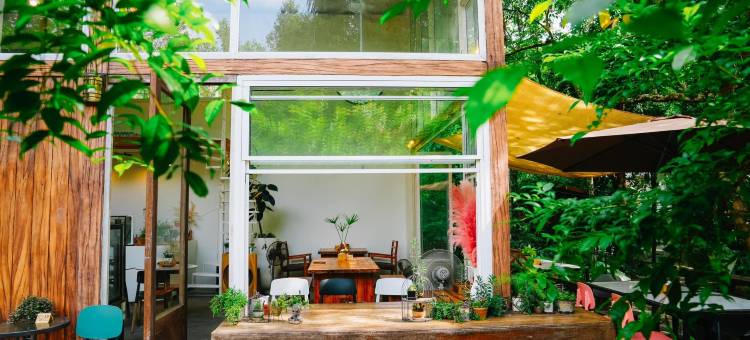 班奈蒙树屋(Bannaimong Treehouse)图片