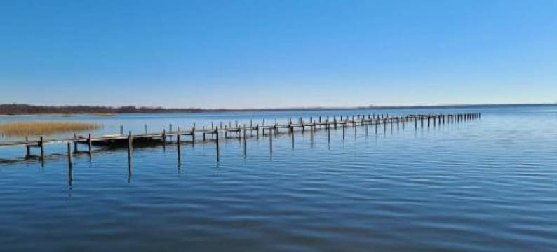 Villa am Steinhuder Meer App Suite-La Fleur-Mit Pantry Küche, Luftreinigungssystem, Garten, Wlan图片