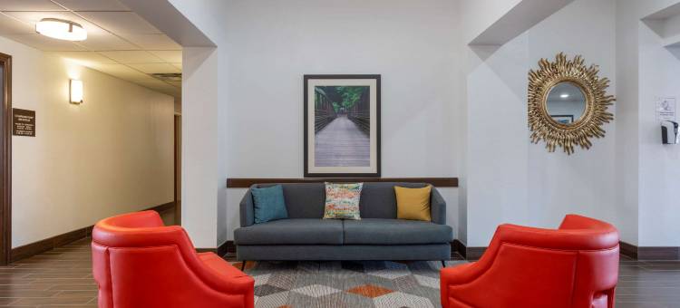 舒适套房酒店(Comfort Inn & Suites)图片