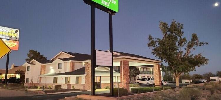 霍尔布鲁克格林豪泰酒店(GreenTree Inn of Holbrook, AZ)图片