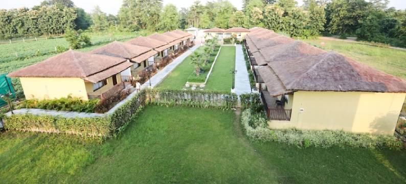 Treebo Tigers Pug Marks图片