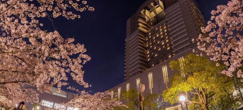 大阪帝国酒店(Imperial Hotel Osaka)图片