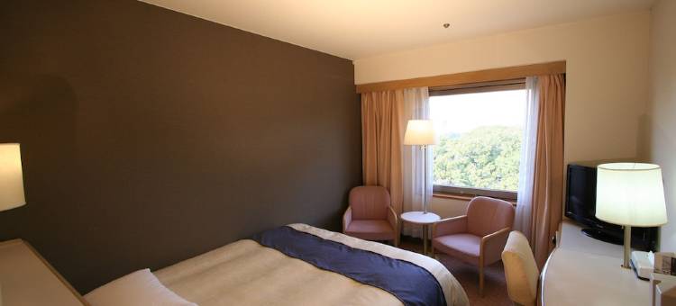 Tokyo Dai-Ichi Hotel Matsuyama图片