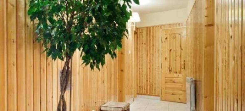 斯米尔雷克酒店(Smyrecek-Centrum Bukowiny)图片