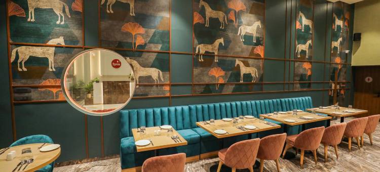 奥兰加巴德斯普瑞酒店(Spree Hotel Aurangabad)图片