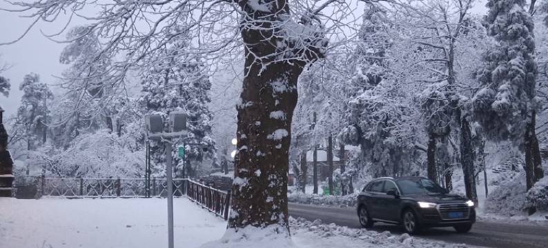 楠炉小憩公寓(柏树路分店)图片