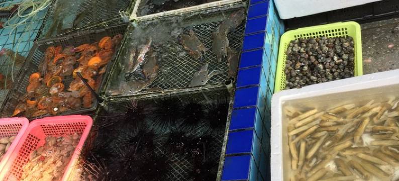 丁姨公寓(霞光二路分店)图片