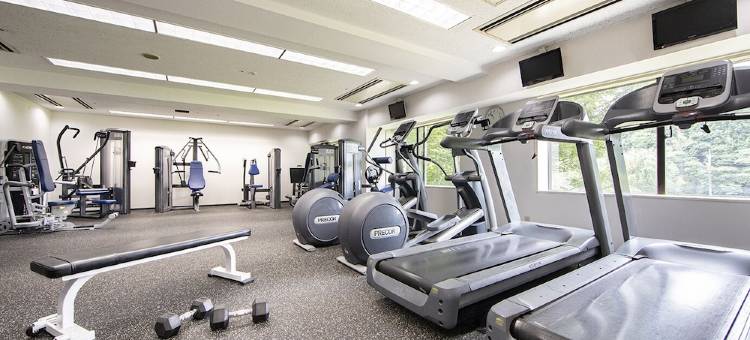 成田国际花园酒店(International Garden Hotel Narita)图片