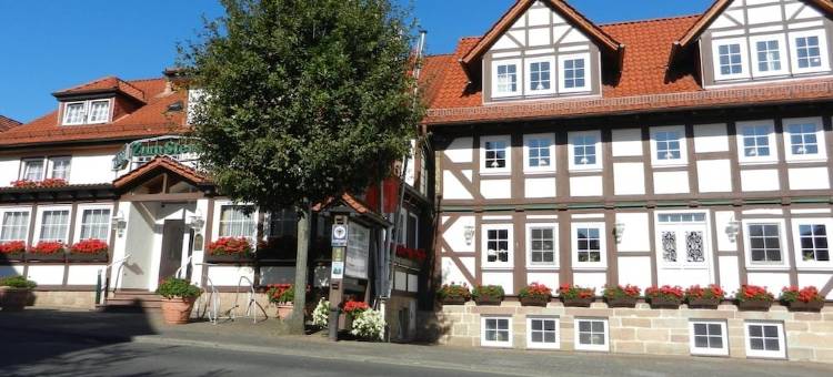 斯特恩 GmbH & Co. KG 公园酒店(Parkhotel Zum Stern)图片