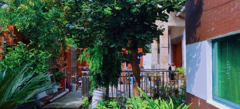 知竹居民宿(幸乐路分店)图片