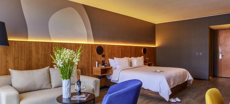 利马圣伊西德罗铂尔曼酒店(Pullman Lima San Isidro)图片