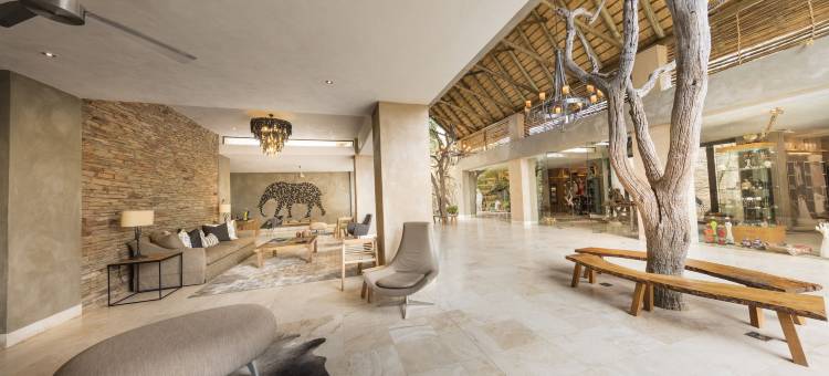 卡帕玛南营山林小屋(Kapama Southern Camp)图片