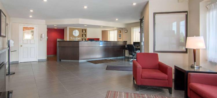 舒适酒店(Comfort Inn)图片