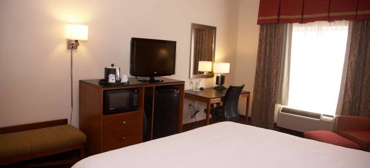 霍布斯欢朋酒店及套房(Hampton Inn & Suites Hobbs)图片