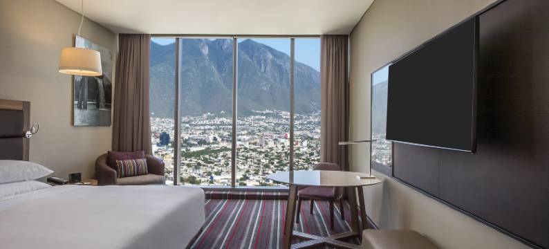 美洲嘉年华蒙特雷帕韦永M.酒店(Fiesta Americana Monterrey Pabellón M.)图片