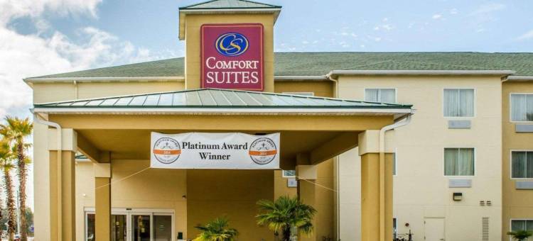 尼斯维尔埃格林空军基地附近舒适全套房酒店(Comfort Suites Niceville Near Eglin Air Force Base)图片