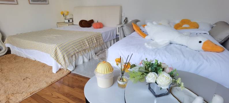 向往诗和远方的小姐姐公寓(荟城路分店)图片