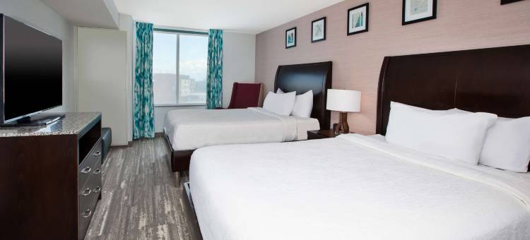 希尔顿花园旅馆-本顿港圣约瑟夫(Hilton Garden Inn Benton Harbor/St. Joseph)图片