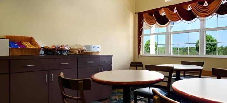 麦克道尔-塔斯卡卢萨麦客达套房酒店(Microtel Inn & Suites by Wyndham Tuscaloosa – East)图片